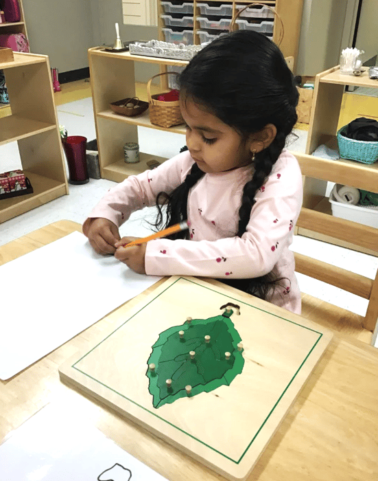 Pre-Primary 2 – 3 years
