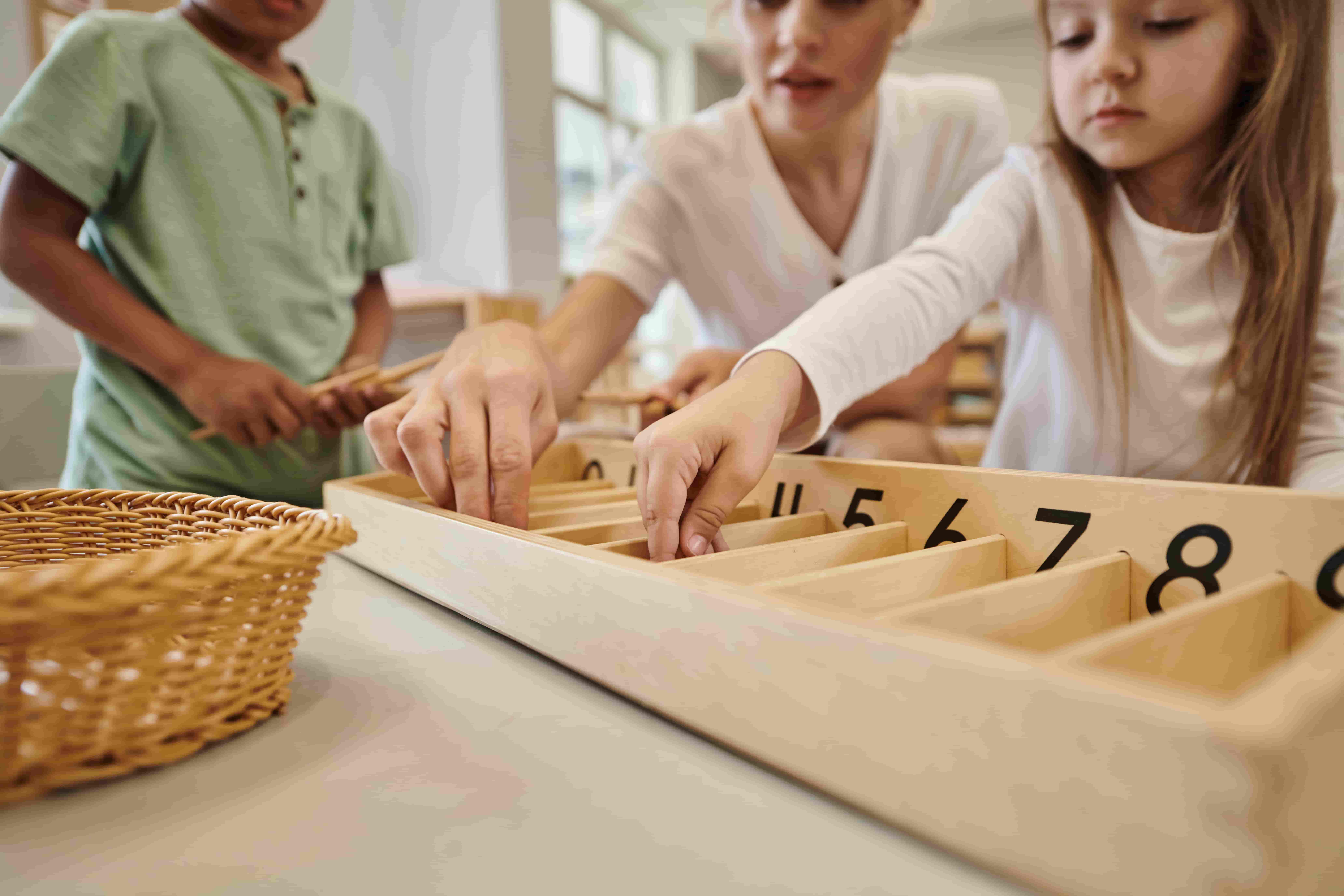 cropped-view-of-teacher-taking-wooden-stick-near-m-2024-11-11-06-03-36-utc (1)